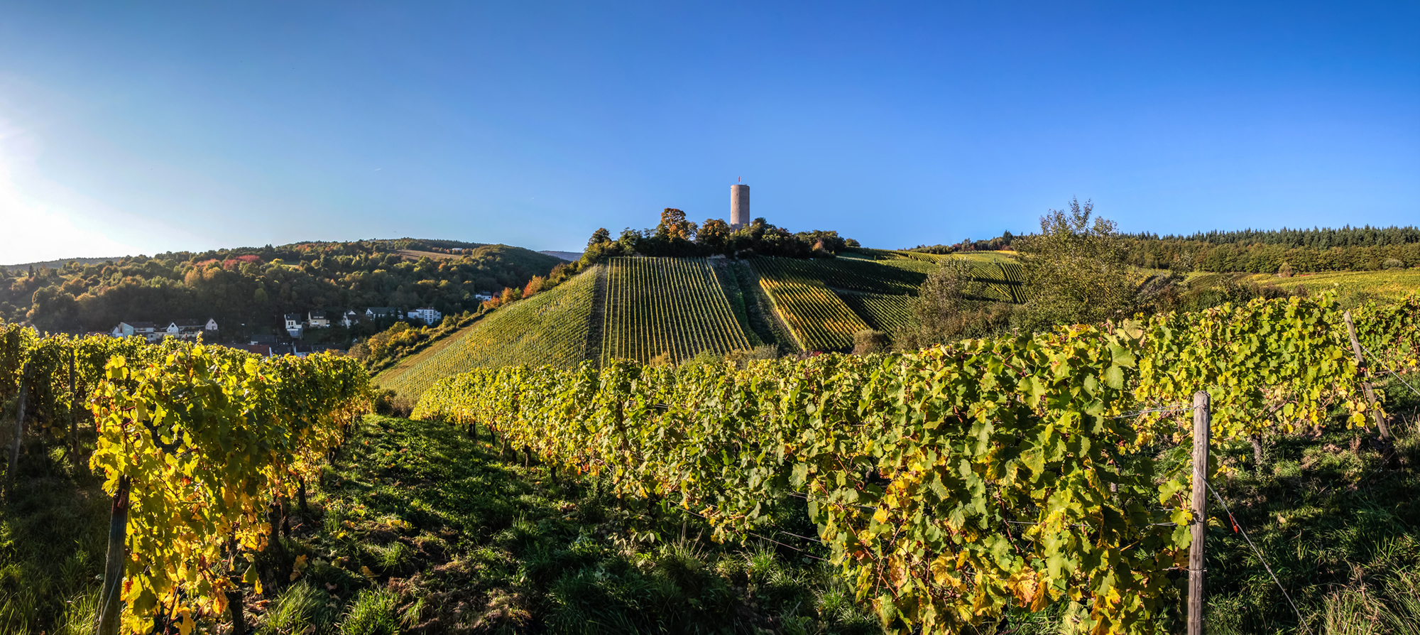 Weingut Weine Weinproben Winzersekte Weinbergswanderungen Gutsausschank Rheingau Eltville am Rhein Gutsausschank Schneck Weingut Fleschner GbR