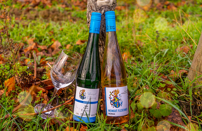 Weingut Weine Weinproben Winzersekte Weinbergswanderungen Gutsausschank Rheingau Eltville am Rhein Gutsausschank Schneck Weingut Fleschner GbR