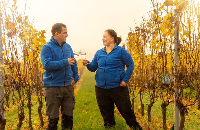 Weingut Weine Weinproben Winzersekte Weinbergswanderungen Gutsausschank Rheingau Eltville am Rhein Gutsausschank Schneck Weingut Fleschner GbR